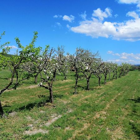 Calla Retreat Vezenkovo Kültér fotó