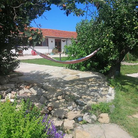 Calla Retreat Vezenkovo Kültér fotó